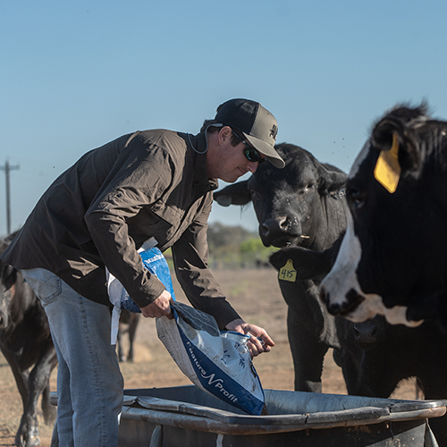 AVES Dot.Air Long Sleeve Shirt slate top-rated hunting gear lightweight 360 degree breathability work wear