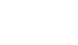 AVES logo