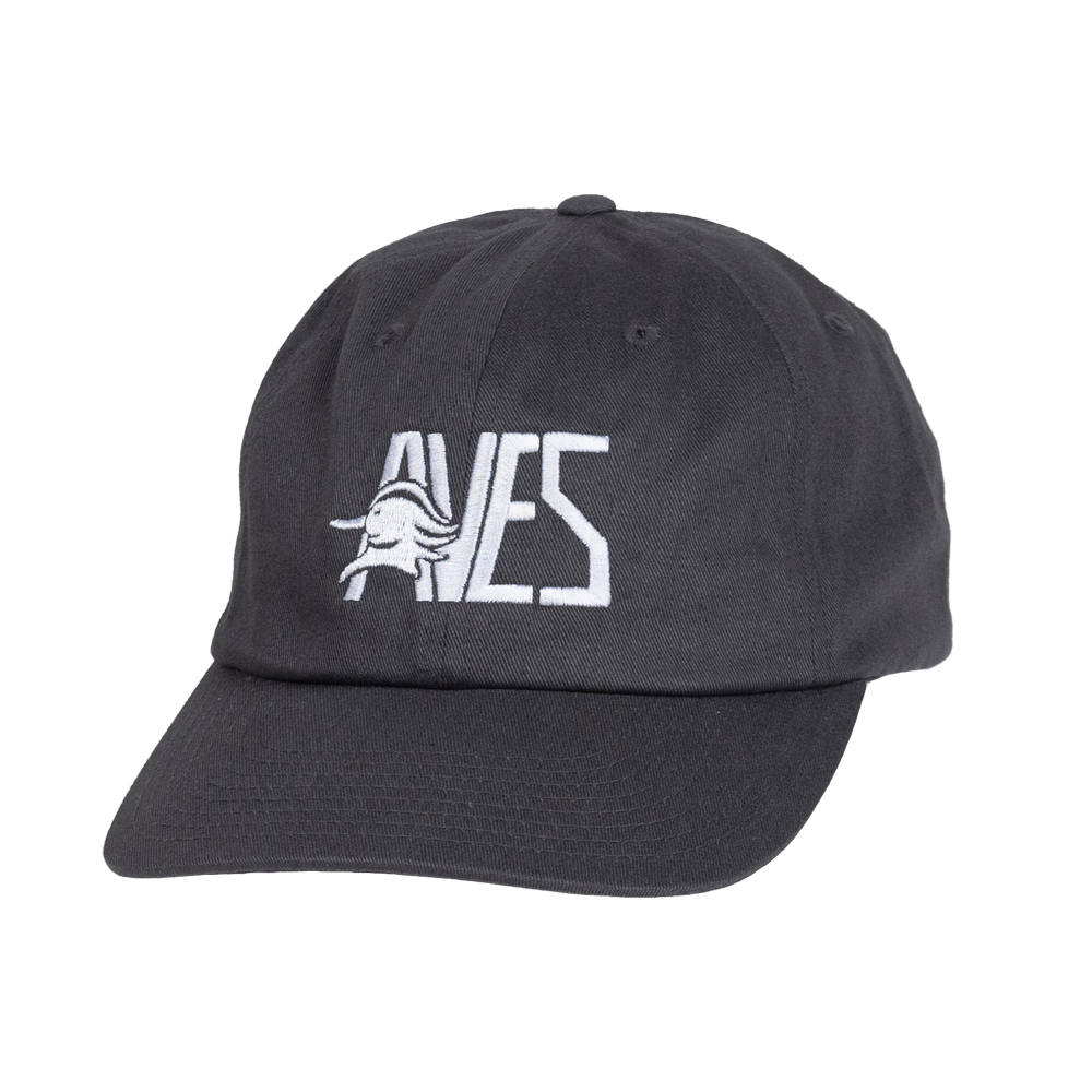 AVES Dad hat Gray Branded Logo Gear Front