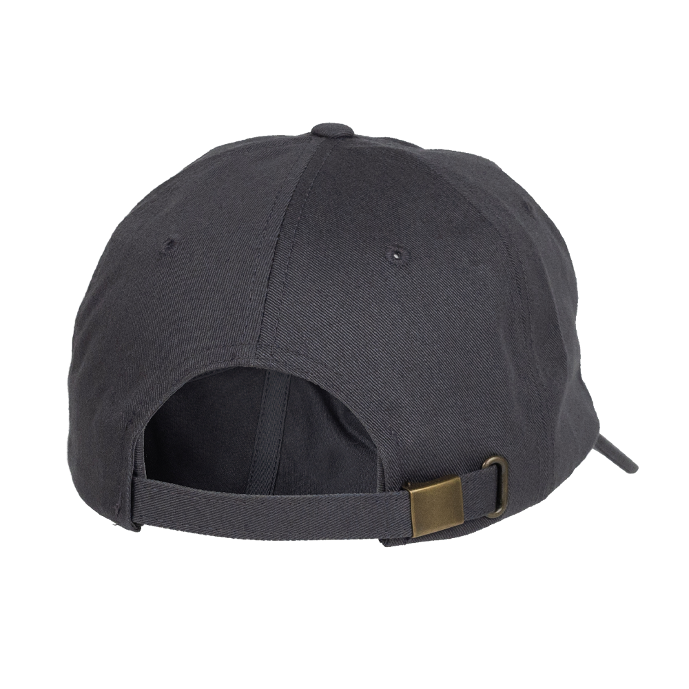 AVES Dad hat Gray Branded Logo Gear Back