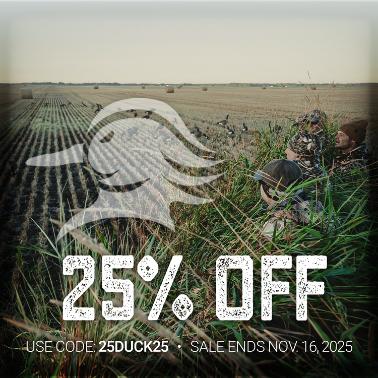 AVES 25% Off 