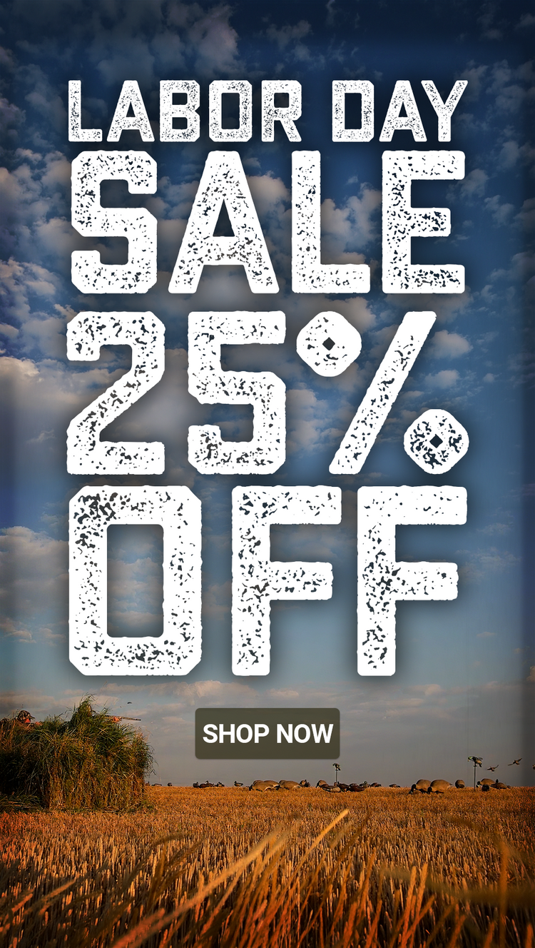 AVES Labor Day Sale