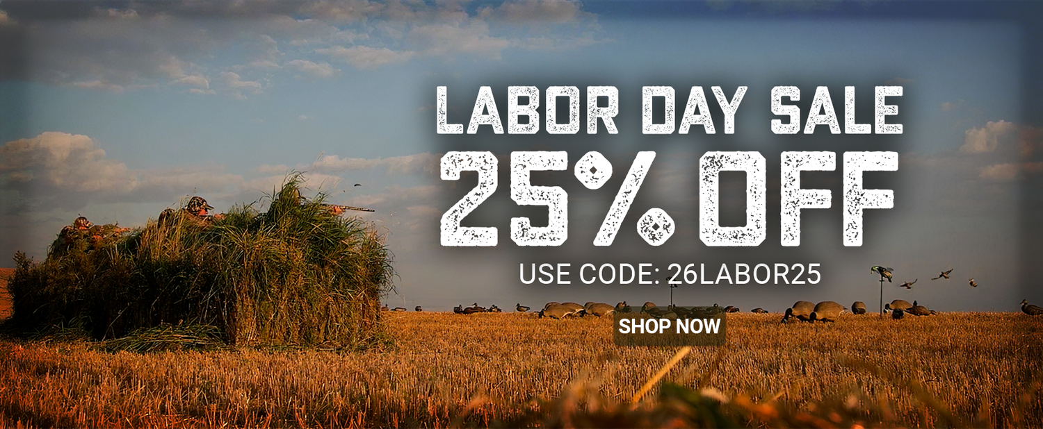 AVES Labor Day Sale