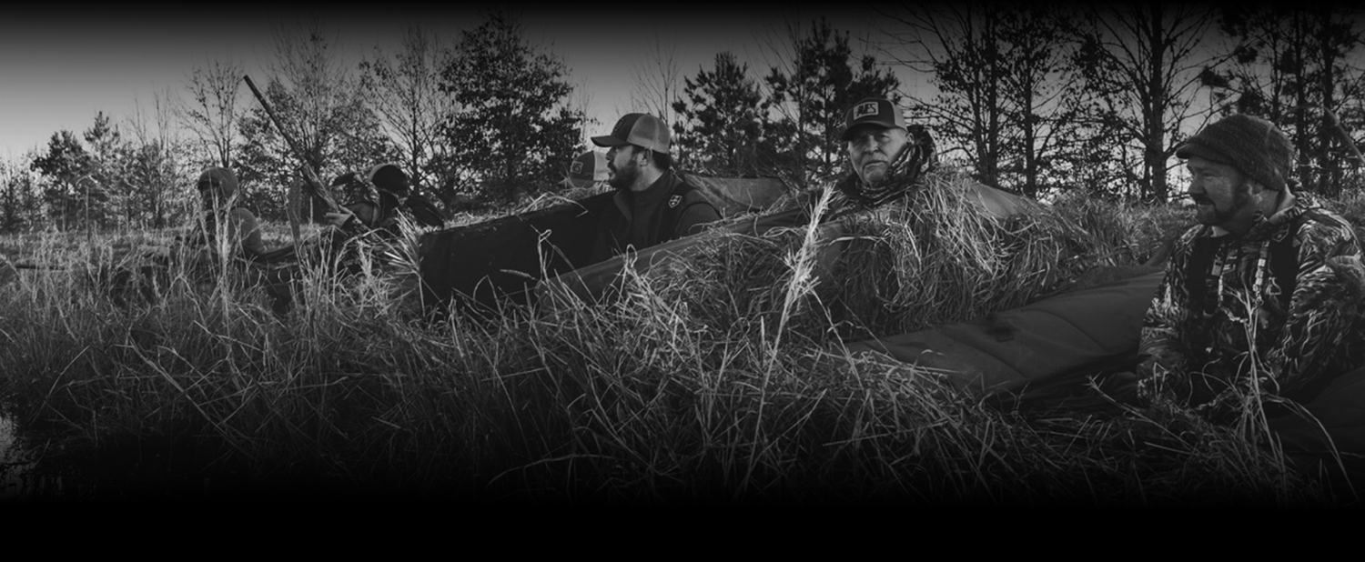 AVESintheWild.png__PID:3f37ab72-299b-4e5d-9d87-fac6476ee938