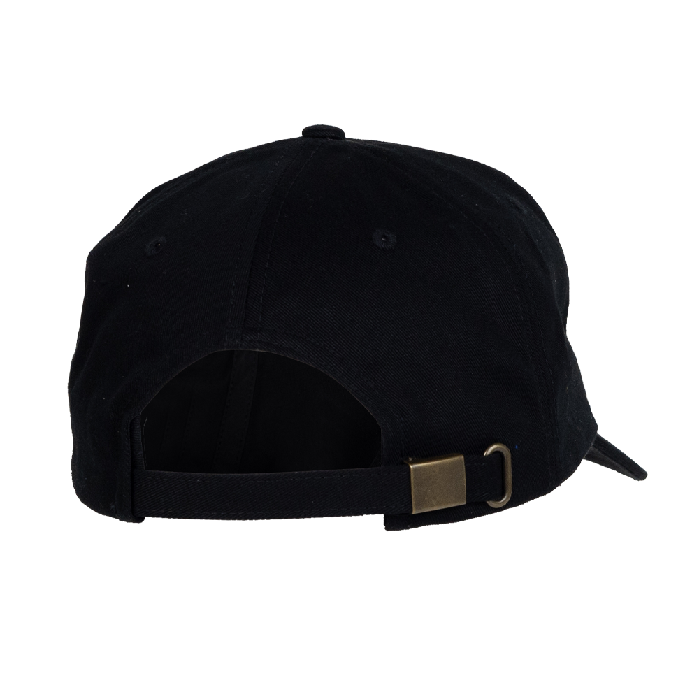 AVES Dad hat Black  Branded Logo Gear Back 